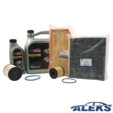 Original Ford Inspection Pack