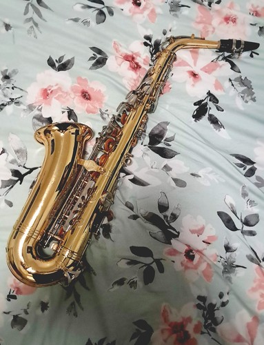 Selmer leblanc bundy alto - leblanc, ll