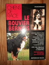 Le Bouvier bernois | Renaud