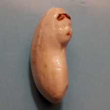 RARE 1ère époque BEAU  BEBE