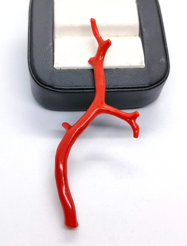 Branche corail rouge - branche,