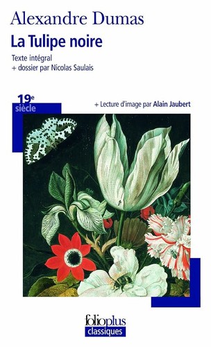 Tulipe noire dumas - tulipe,
