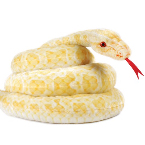 Alba the albino burmese python - burmese,
