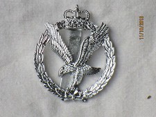 Army Air Corps,Aac ,Aviateur