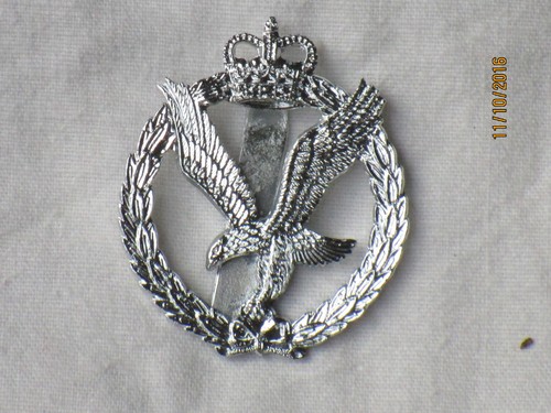 Army air corps aac - army, ,aviateur