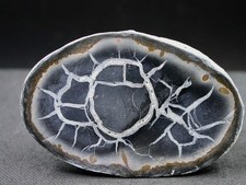 SEPTARIA - MAROC - 6 x 4 cm -