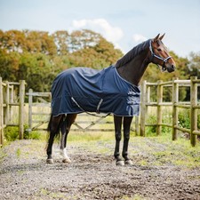 Couverture De Poney Horse