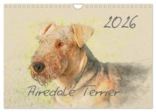 Airedale Terrier 2026 (Calendrier mural 2026 DIN A4 horizontal), CALVENDO calend
