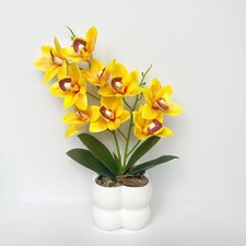 Orchidée Cymbidium rose