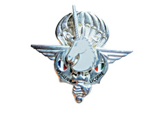 RARE INSIGNE DES FORCES