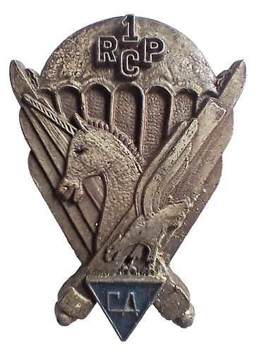 Insigne parachutistes para - insigne,