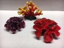Corail D'Aquarium Reef