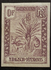 Madagascar Zébu Ravenala -