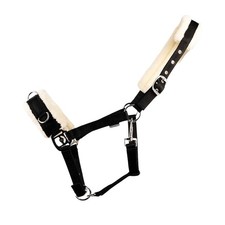 Hy - Caveçon pour cheval LUNGE (BZ6289)