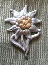 insigne  gebirgsjager allemand ww2 1940  montagne  chasseurs