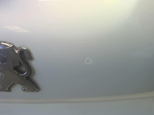 Malle hayon arriere peugeot - malle/hayon,