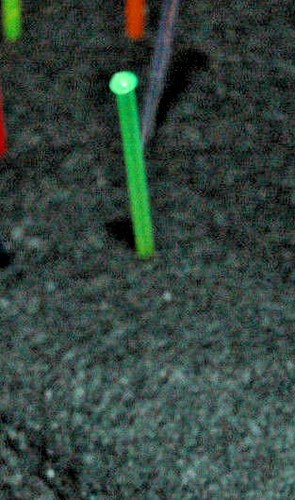 Taurus usa optic green - taurus, green+2x