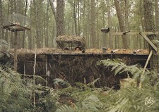 Carte postale 10x15cm postcard