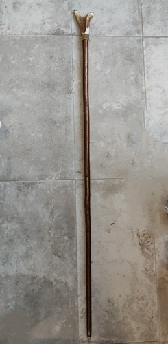 Ancien bâton marche canne - ancien,