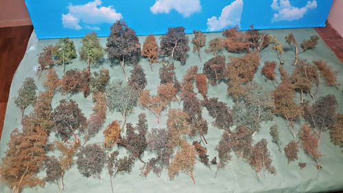 Lot arbres zeechuim - 55,