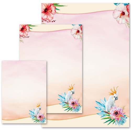 Papier motif cacatoès - papier,
