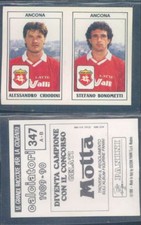 Figurine Footballeurs Panini