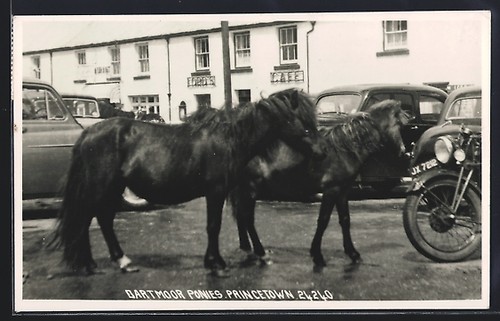 Carte postale princetown - carte,