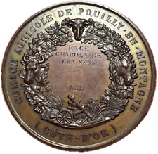 #15173 - Médaille Comité