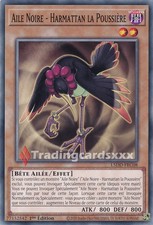 Yu-Gi-Oh! Aile Noire -