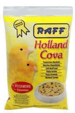 Canari jaune Raff Holland Cova idéal pour la nidification de la nourriture no...
