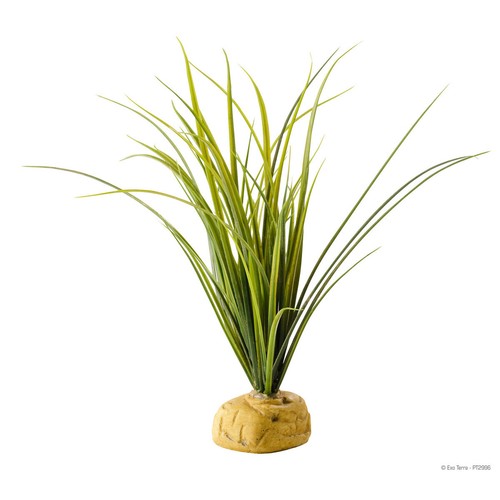 Exo terra plante - exo,