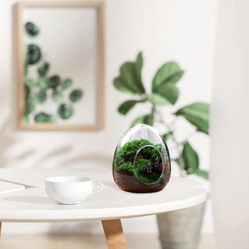 Vase fleurs forme d - vase, d'oeuf