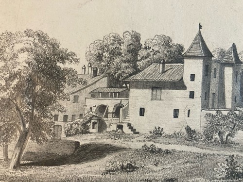 Très belle dessin crayon - très,