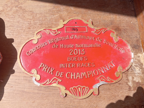 Grande plaque concours - grande,