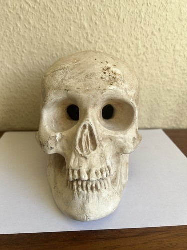 Memento mori crâne - memento,