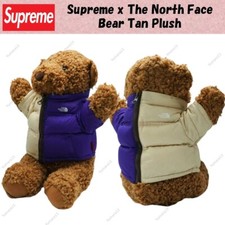 Supreme x The North Face Split