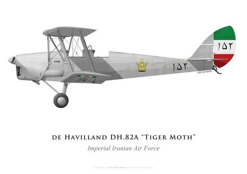 Print tiger moth - print, dh.82