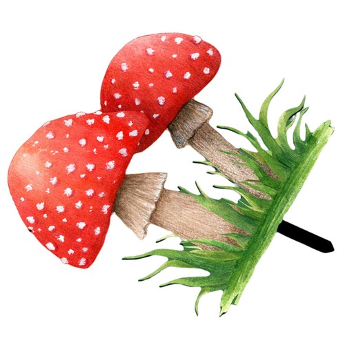 Piquet jardin extérieur - jardin,