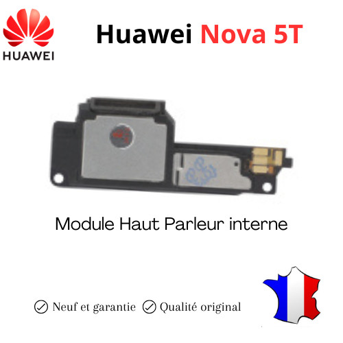 Module haut parleur interne - module,