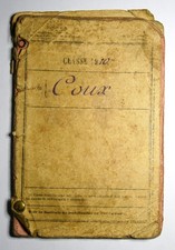 Livret militaire Artillerie à pied ww1 maréchal des logis vaccination militaria