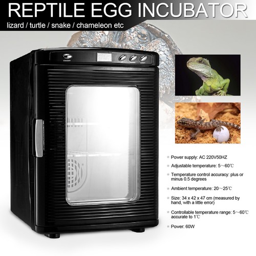 Incubateur reptiles de - à,