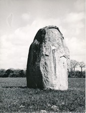 Environs d'AVRILLE c. 1950 -