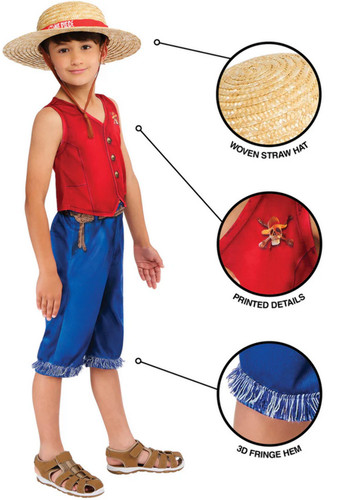 Argent luffy déguisement - argent,