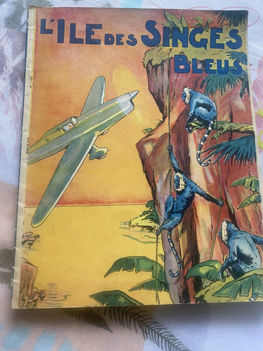 île des singes bleu - des,