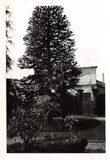 Cassin des officiers allemands