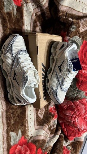 Mizuno wave prophecy - mizuno,