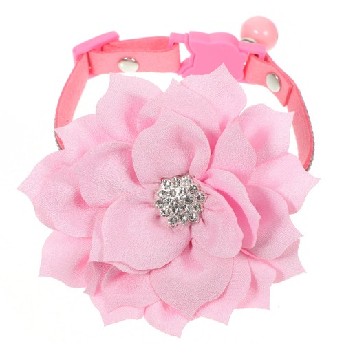Collier chiot collerette chien - collier,