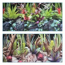 poster fond aquarium reversible 60 X 60 CM  terrarium / cactus