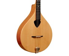 Gold Tone BZ-500 Irish