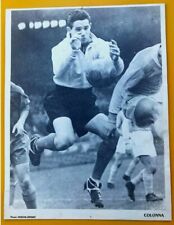 FOOTBALL DOMINIQUE COLONNA